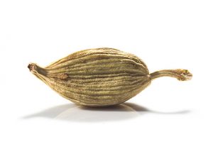 Etnic aceite sabores aromaticos condimentados especiados especias